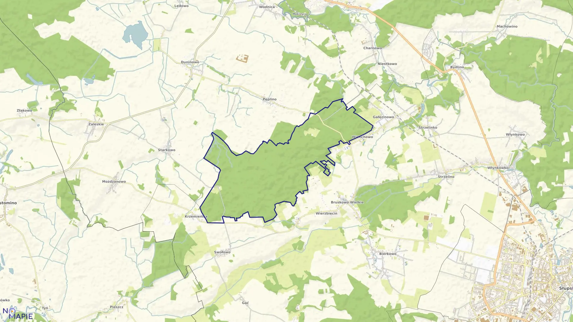 Mapa obrębu BRUSKOWO LEŚNICTWO w gminie Słupsk